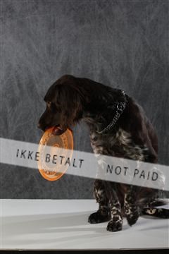 128239_le_kort_ 01_0044.JPG