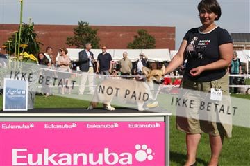 130370_se_02_IMG_6565.JPG