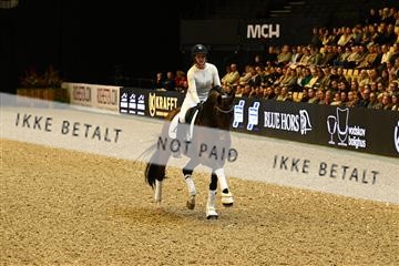 173966_jbr_02_JBR_2540.JPG