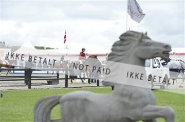139644_bc_03__BC20884.JPG