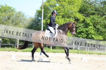 168732_mtp_01_3M5A7927.JPG