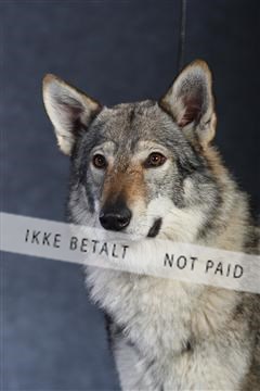 132082_le_ 01_IMG_0987.JPG