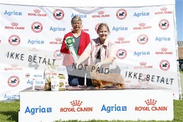 181564_ch_01__62_9331.JPG