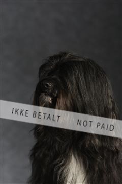 132082_le_ 01_IMG_1535.JPG