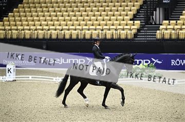 182194_kbb_01_Z095538.JPG