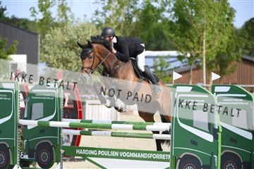 169152_abo_01_D05_0532.JPG