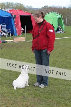 124188 _tl_02_IMG_9435.JPG