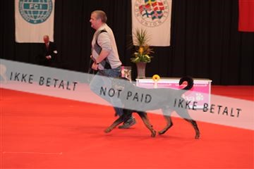 126827_tl_04_IMG_9939.JPG