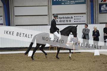 140040_abo_02__AB18790.JPG