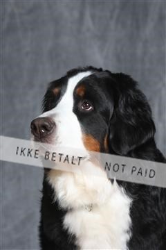 130054_le_ 03_0435.JPG