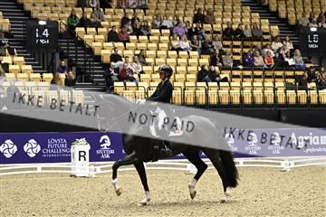 182194_kbb_03_Z090365.JPG