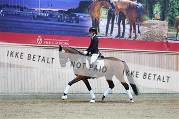181887_mtp_04_R62_8286.JPG