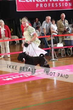6068_ma_05_IMG_5980.JPG