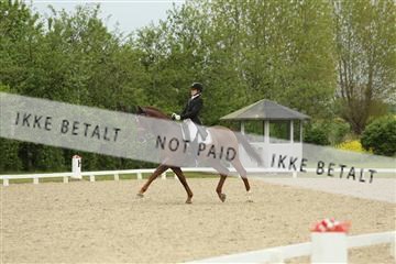 139835_sg_01_IMG_7275.JPG