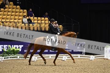 182194_kbb_03_Z090696.JPG