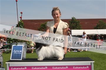 130370_se_02_IMG_6244.JPG