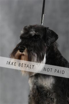 128239_le_kort_ 01_0401.JPG