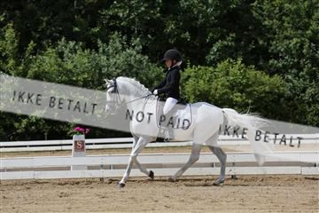 156196_nn_01_IMG_6086.JPG
