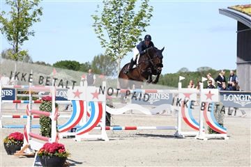 181436_avh_03_4742.JPG