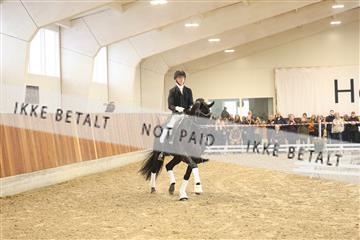 174363_kbb_01_R6II8267.JPG