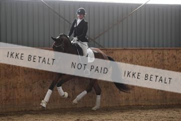 139206_kl_1_8M1Q5319.JPG