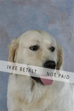 5493_sme _03__MG_9847.JPG