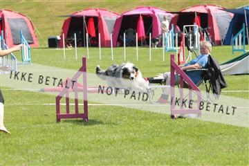 130370_tl_02_IMG_7758.JPG