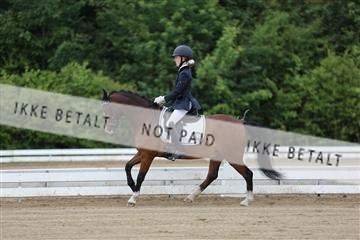 156196_nn_01_IMG_5809.JPG