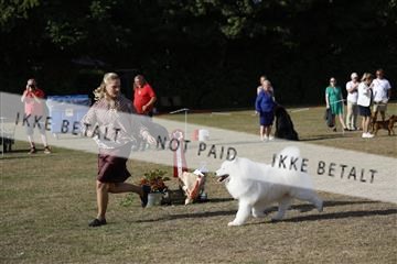 181848_kar_01__62_1603.JPG