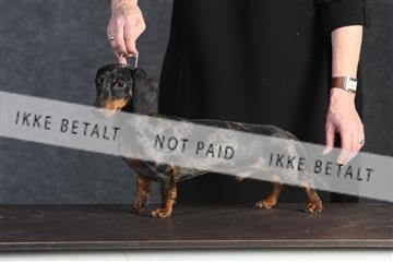 132082_le_ 01_IMG_0164.JPG