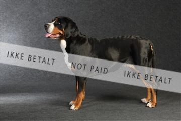 132082_le_ 01_IMG_0026.JPG