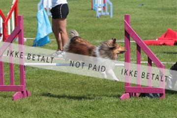 130370_tl_02_IMG_7835.JPG