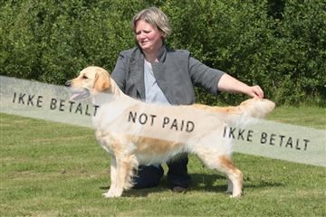 130370_tl_02_IMG_7853.JPG