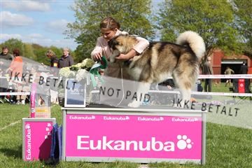134871_ms_04_IMG_0844.JPG