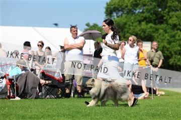 181564_rin_02_R62_3740.JPG