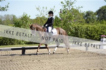 139815_ms_01__MS27058.JPG