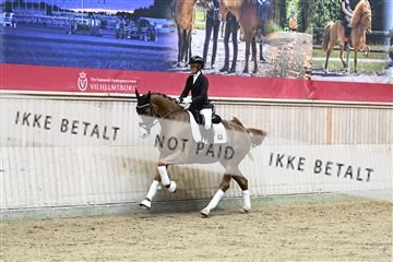 182241_kbb_01_Z094299.JPG