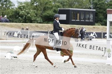 166078_rhj_01_166078_rhj_01__J7R1814.JPG