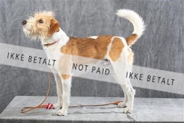 129608_le_ 01_0374.JPG