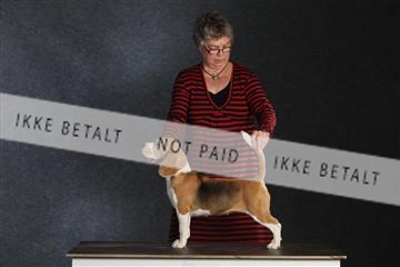 132082_le_ 01_IMG_1545.JPG