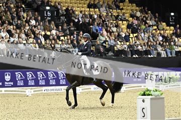 182194_kbb_03_Z092234.JPG