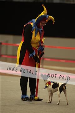 6068_sme_04_IMG_3466.JPG