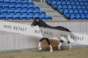 139327_abo_01__AB10341.JPG