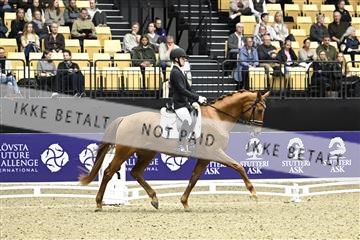 182194_kbb_03_Z090724.JPG