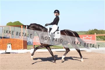 181449_bc_01R62_6353.JPG