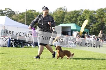 182009_rin_01__62_7452.JPG