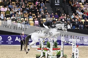 182194_kbb_02_Z099448.JPG