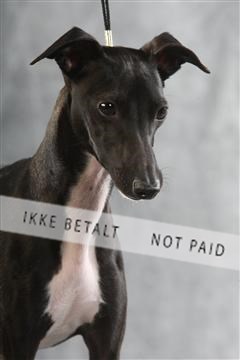 129608_le_ 02_0422.JPG