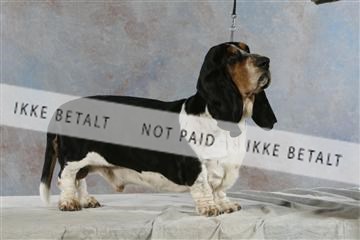 5493_sme _03__MG_9811.JPG