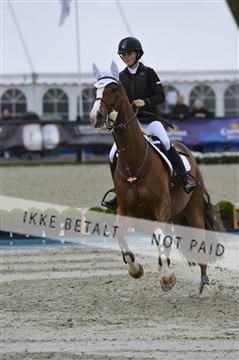 139644_abo_08__AB16015.JPG